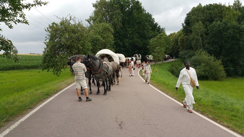 2015-07-13 11.13.16.jpg